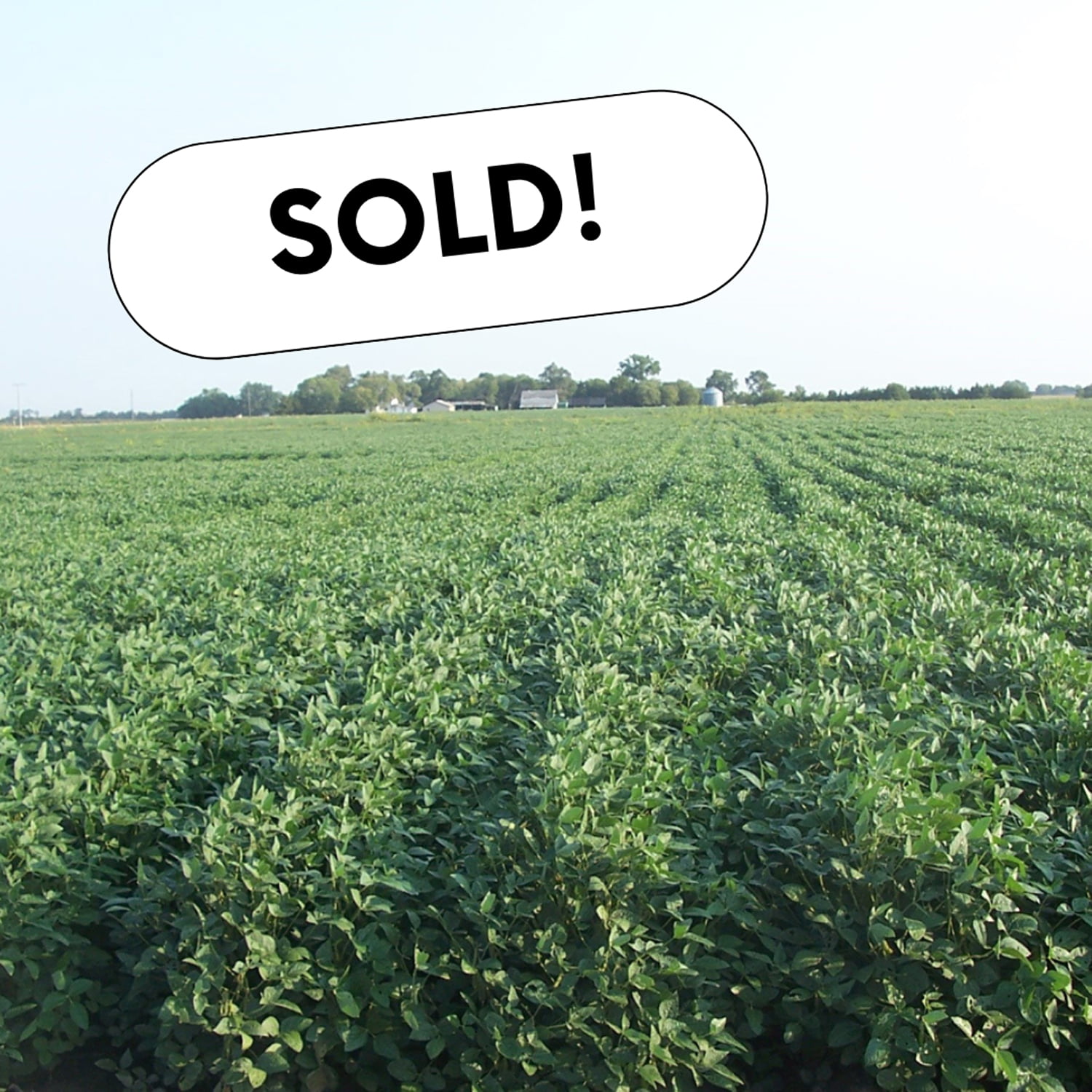 311 +/ Acres of Irrigated Farmland, Acreage, and Grassland in Merrick