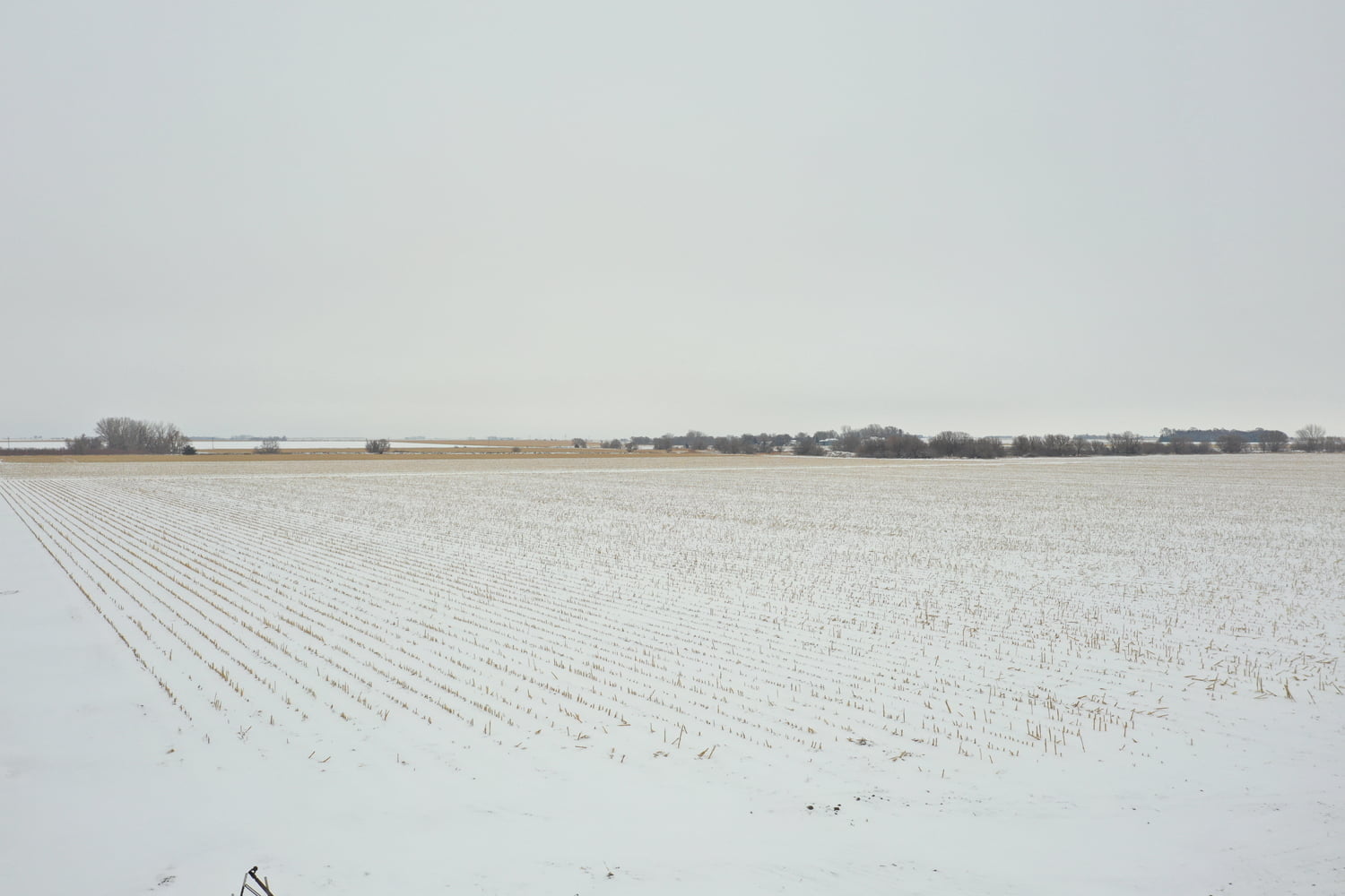 80+/ Acre Irrigated Farm in Phelps County AgWest Land Brokers