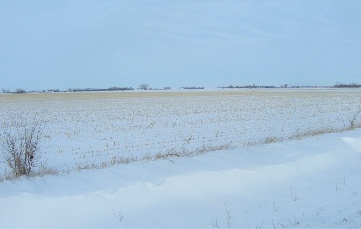 128+/ Acre Irrigated Farmland in Merrick County AgWest Land Brokers