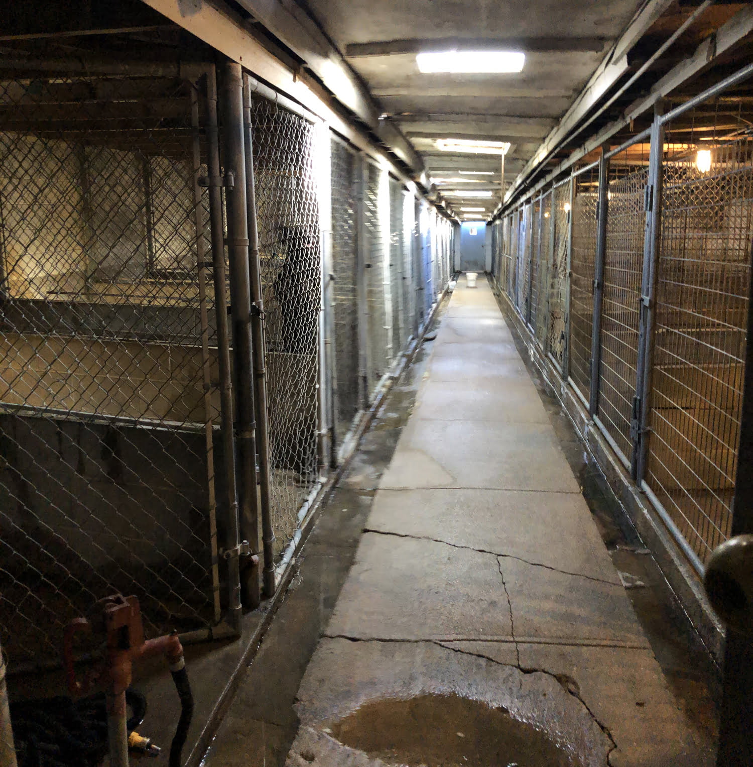 House & Commercial Property Auction Grand Island, NE AgWest Land