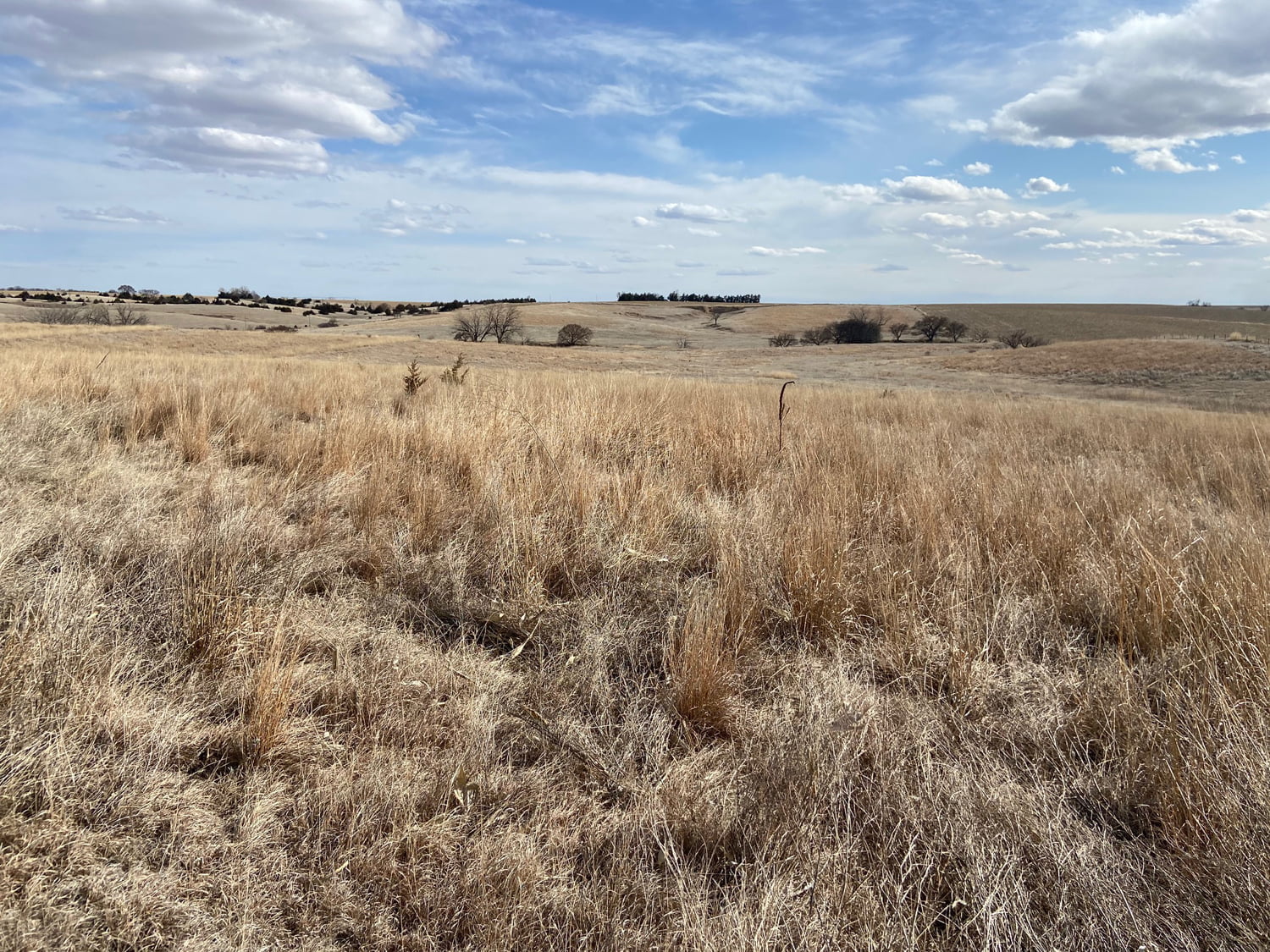 160 +/ Acre Combination Farm in Gosper County AgWest Land Brokers