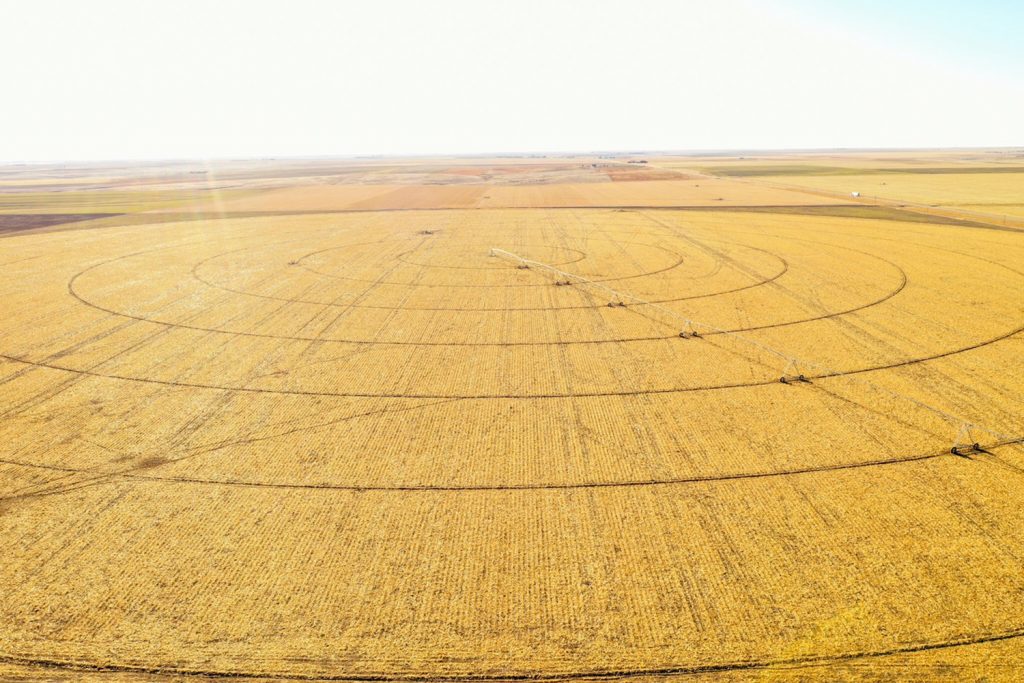 155 +/ Acre Pivot Irrigated Farm in Cheyenne County, KS AgWest Land