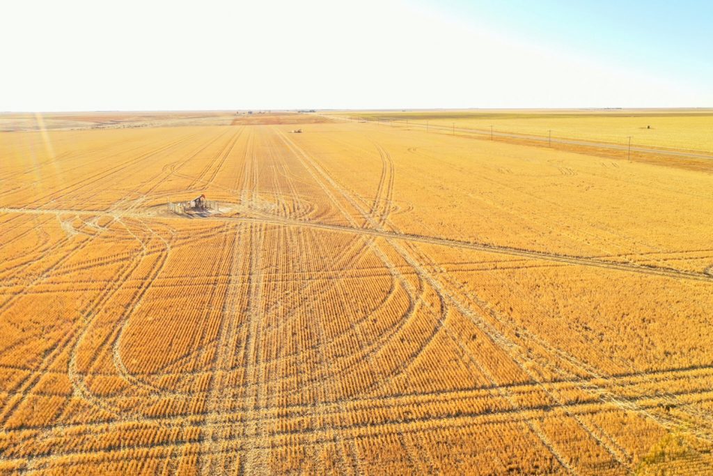 160 +/ Acre Dryland Farm in Cheyenne County, KS AgWest Land Brokers