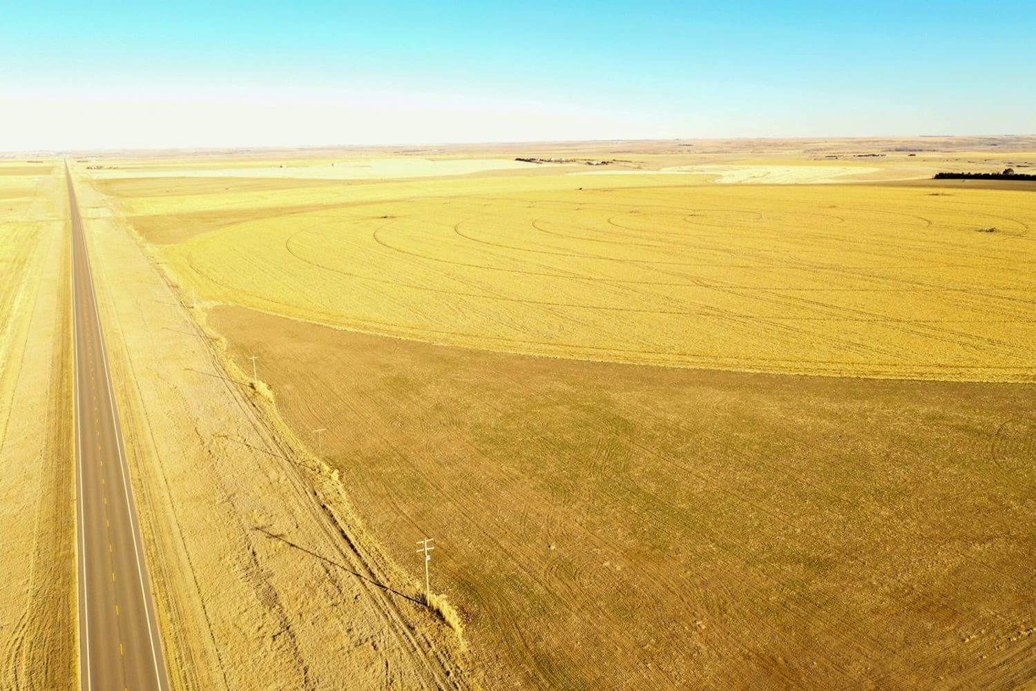 155 +/ Acre Pivot Irrigated Farm in Cheyenne County, KS AgWest Land