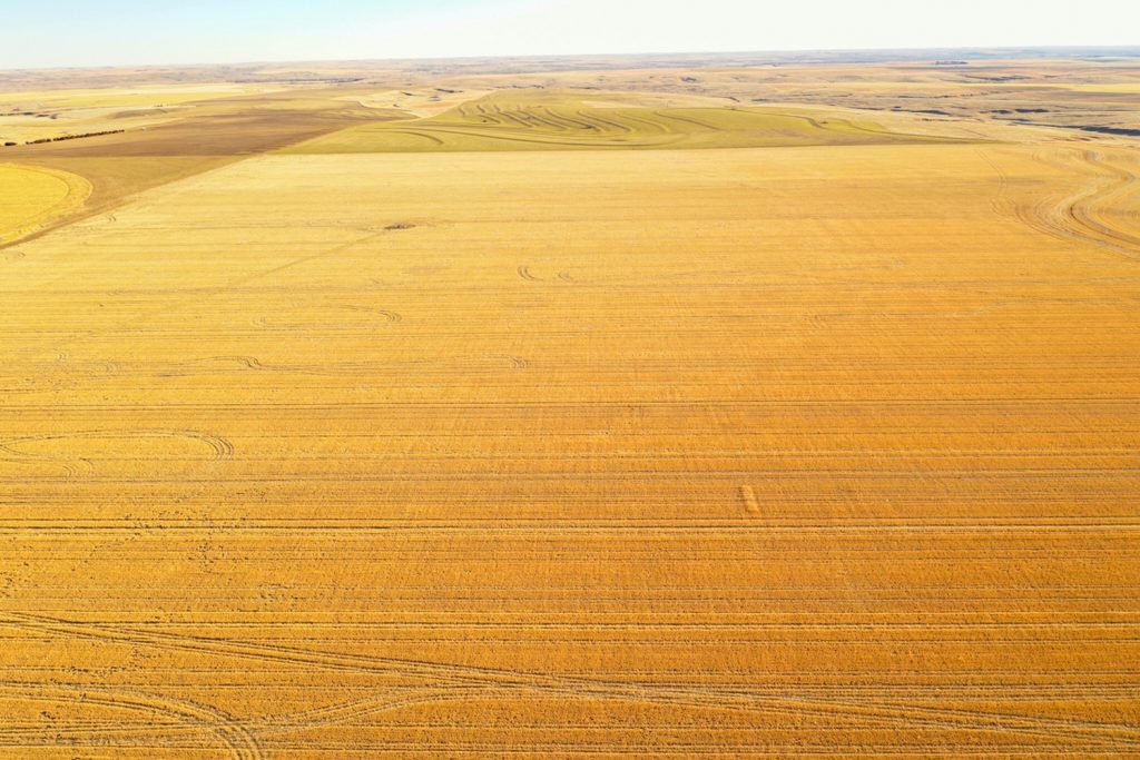 160 +/ Acre Dryland Farm in Cheyenne County, KS AgWest Land Brokers