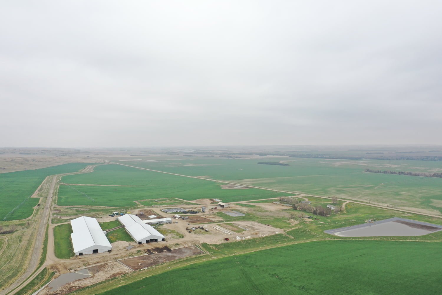 Broken Bow Dairy AgWest Land Brokers