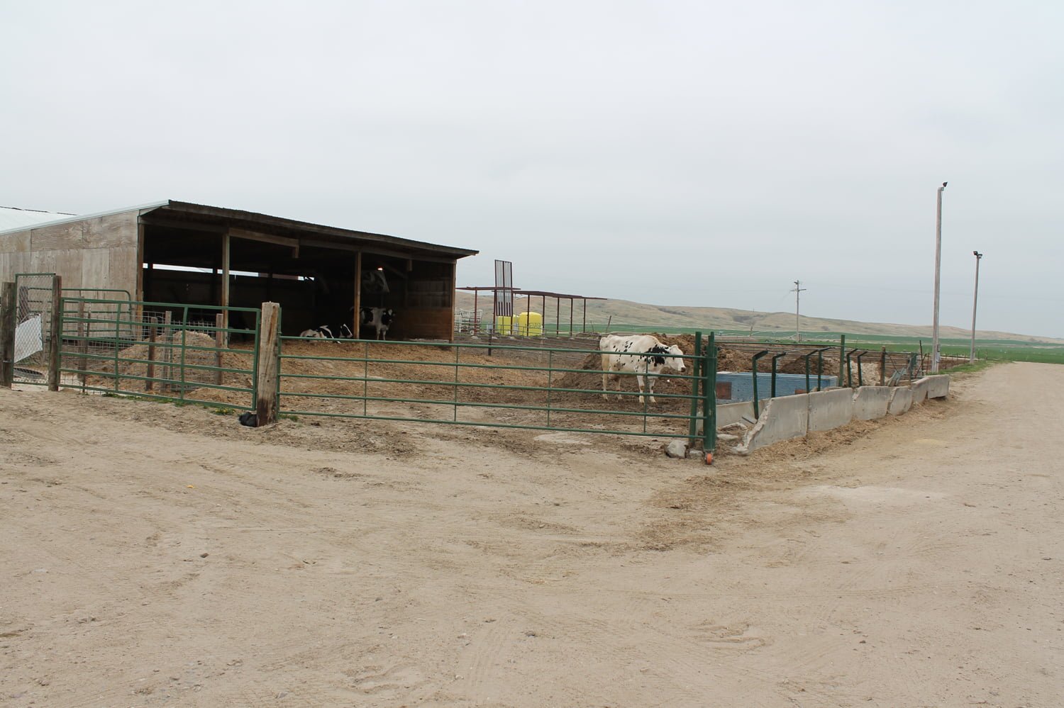 Broken Bow Dairy AgWest Land Brokers