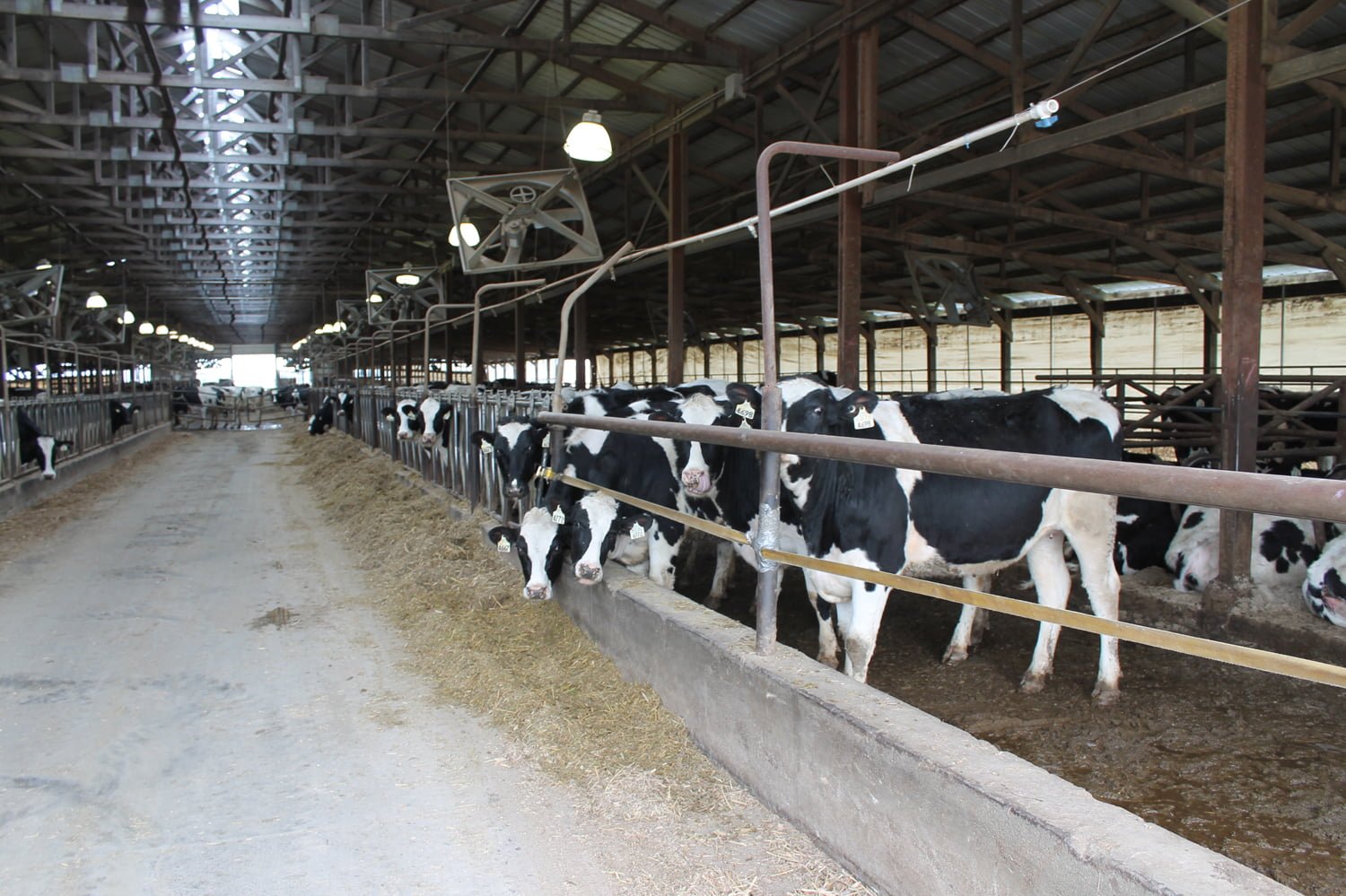 Broken Bow Dairy AgWest Land Brokers