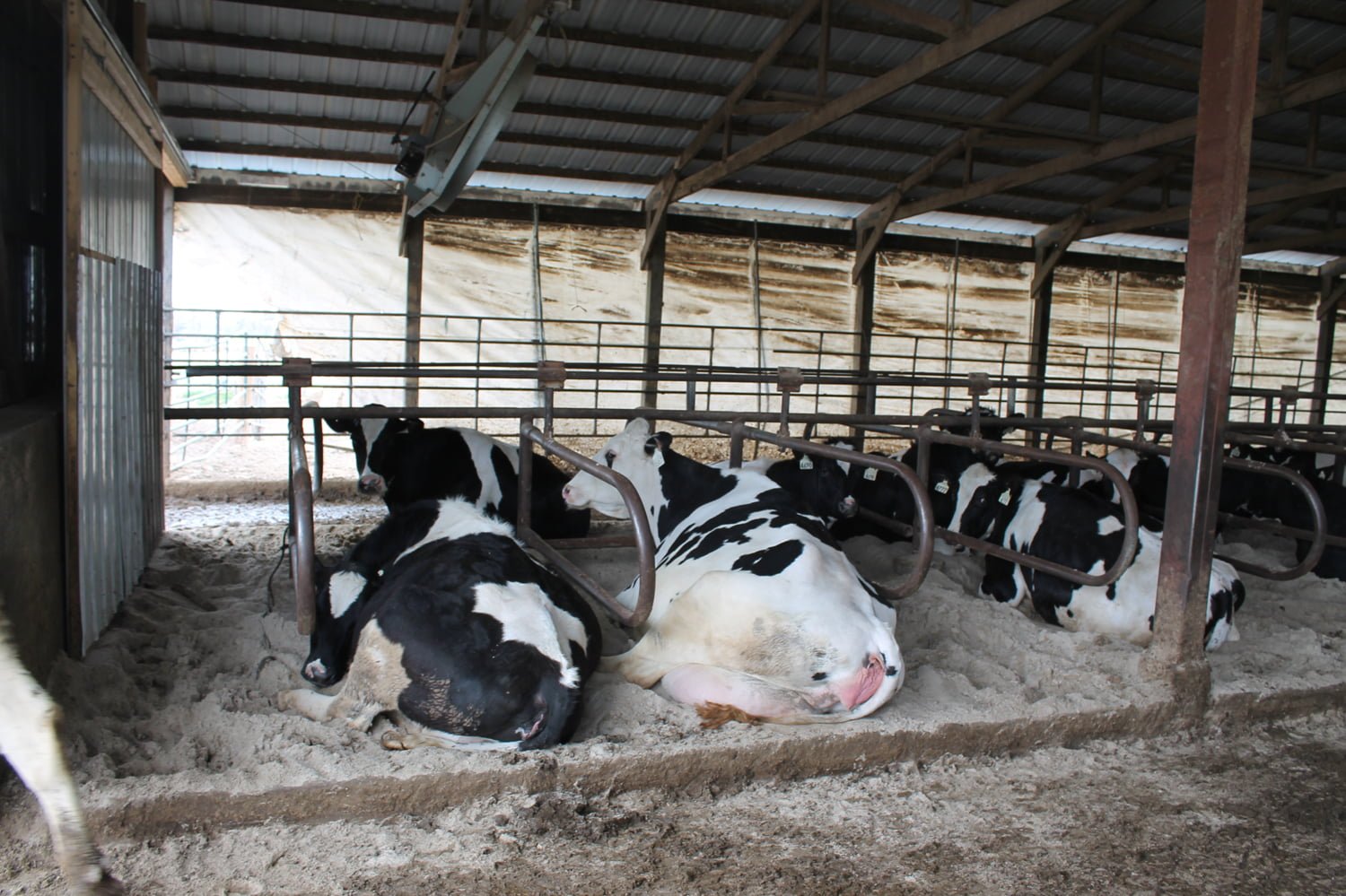 Broken Bow Dairy AgWest Land Brokers