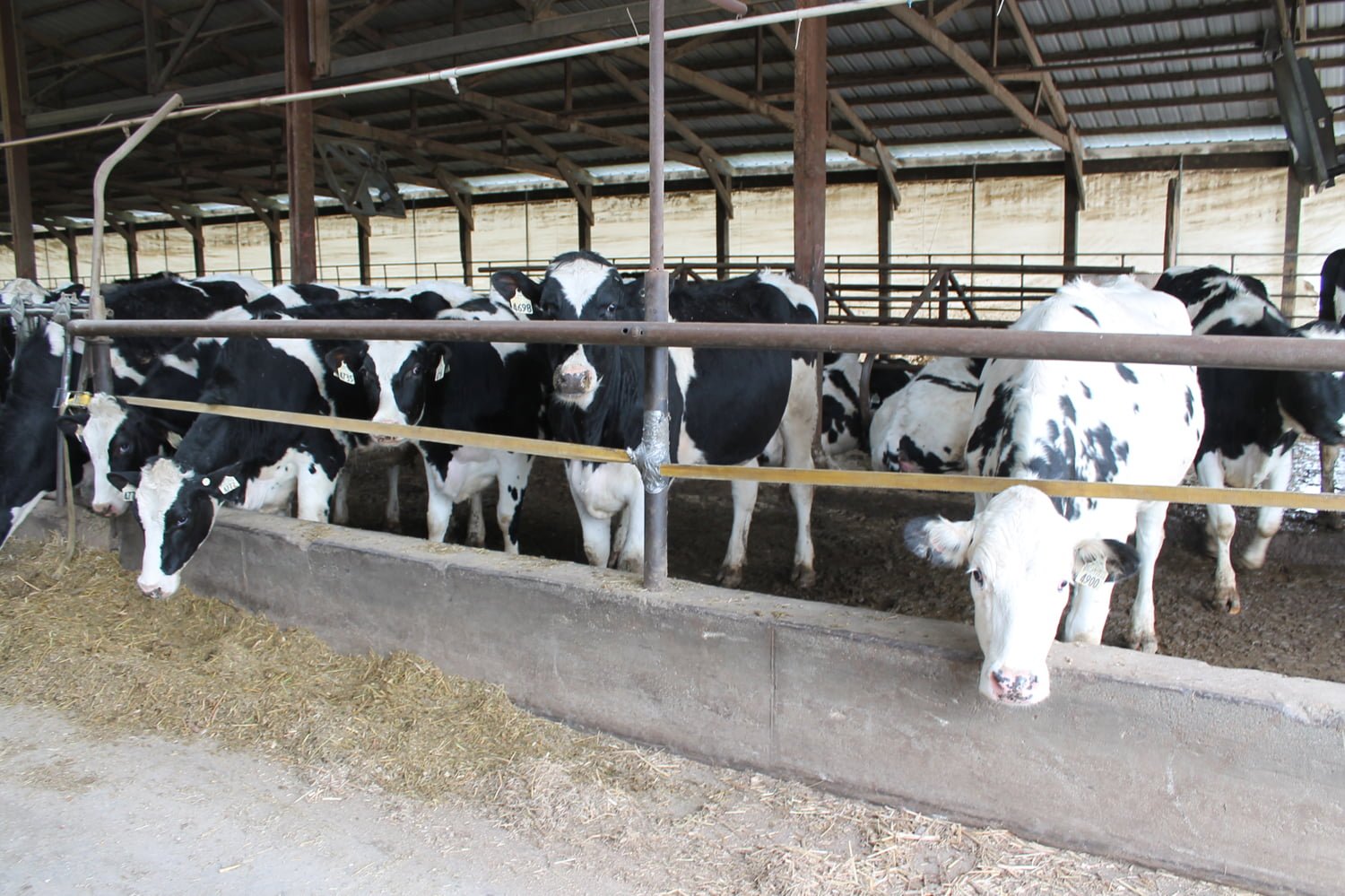 Broken Bow Dairy AgWest Land Brokers