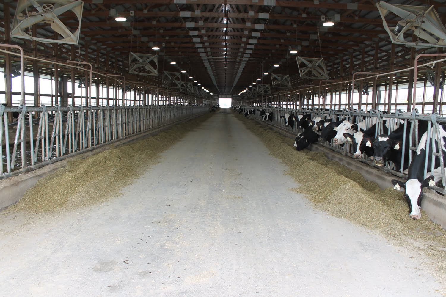 Broken Bow Dairy AgWest Land Brokers