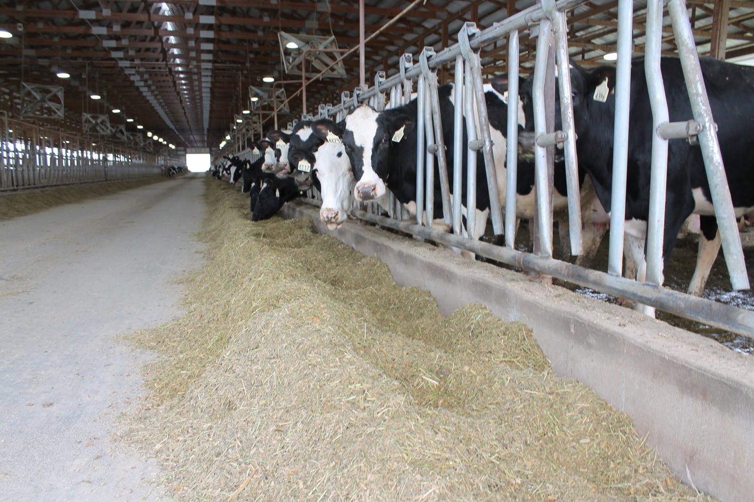 Broken Bow Dairy AgWest Land Brokers