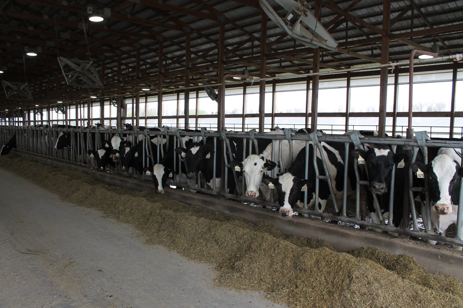 Broken Bow Dairy AgWest Land Brokers