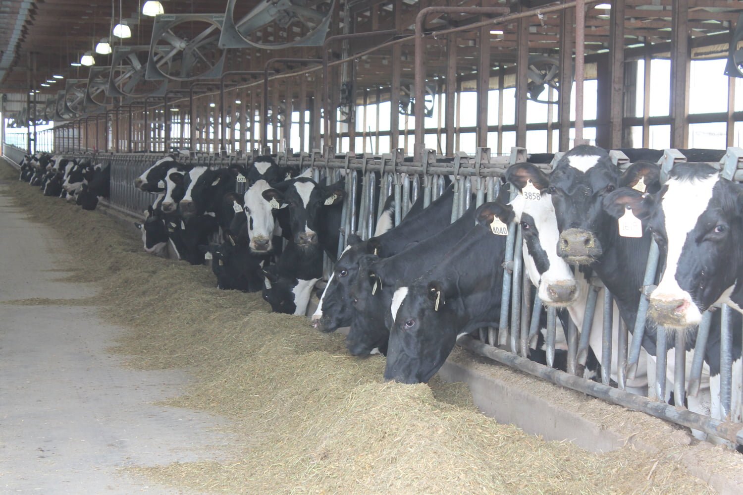 Broken Bow Dairy AgWest Land Brokers