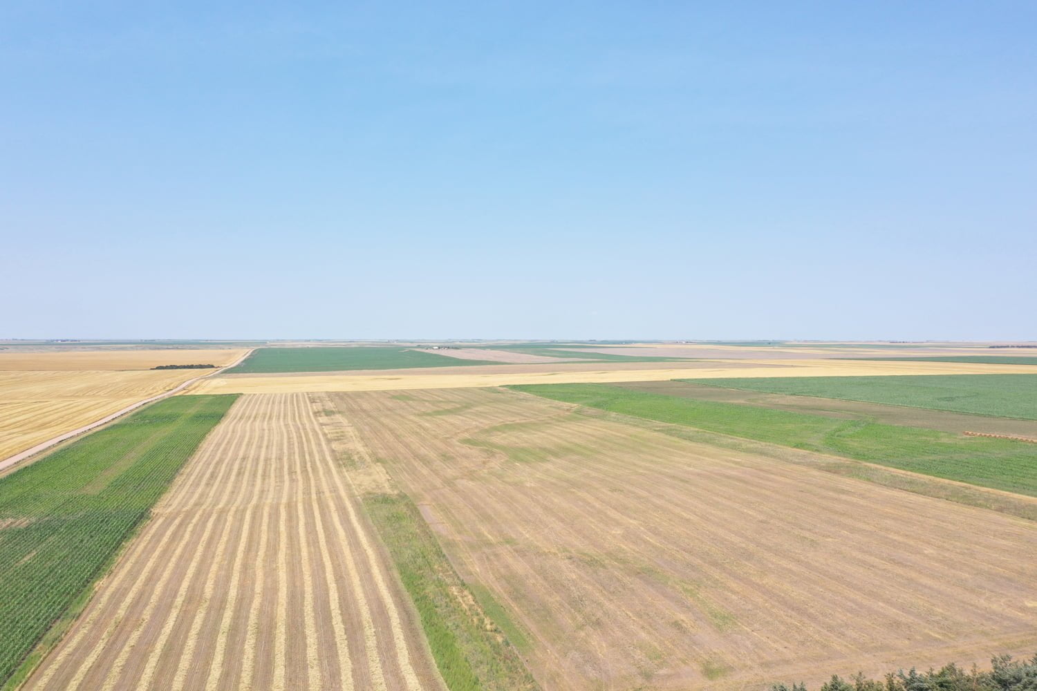 Acreage with 88 +/ Acres in Deuel County, NE AgWest Land Brokers