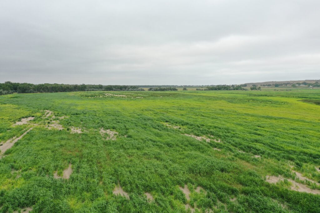 232.99 +/ Acre Dryland Farm in Red Willow County AgWest Land Brokers