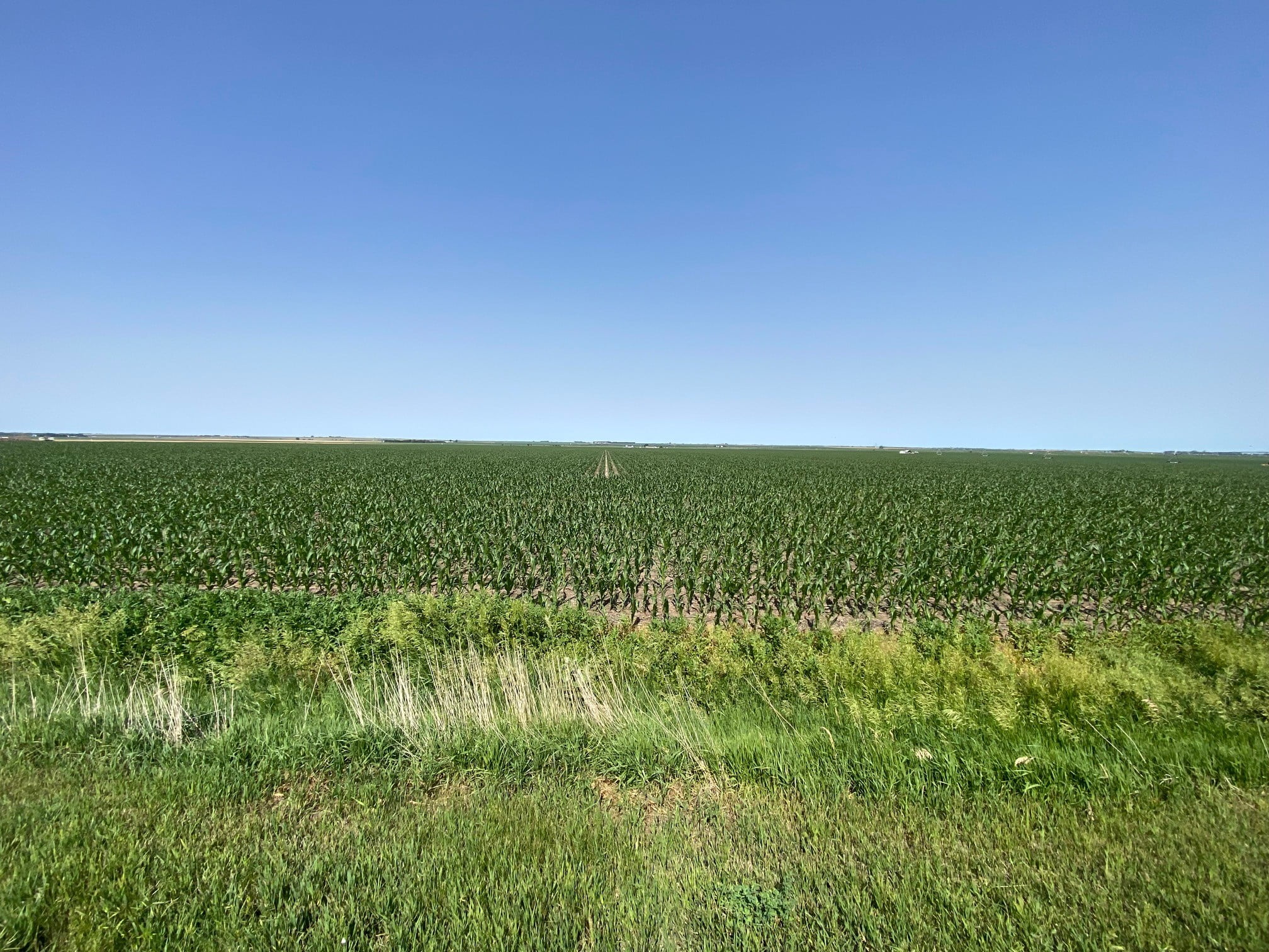 40 +/- Acre Irrigated Farm in Gosper County, NE - AgWest Land Brokers