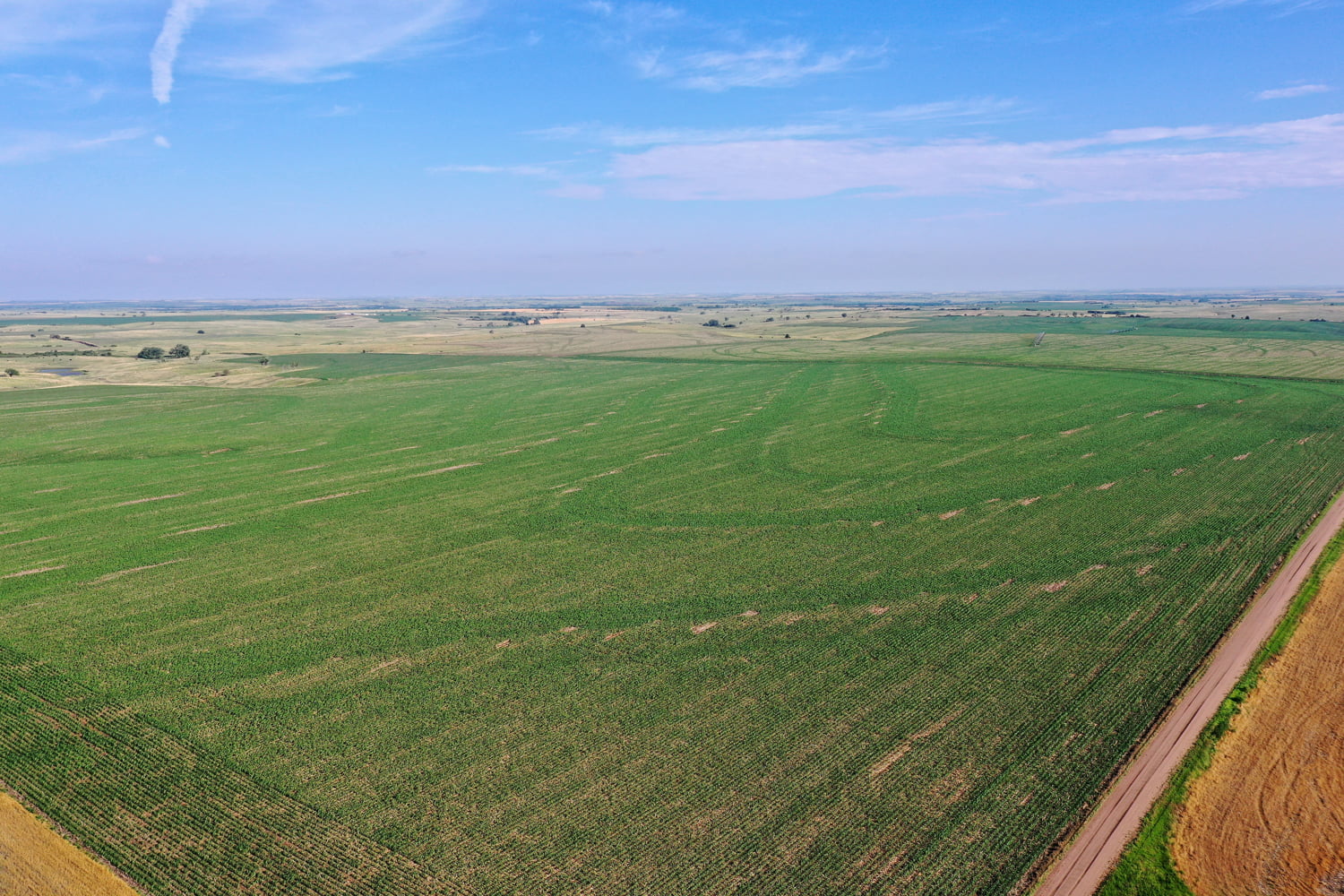 LAND AUCTION 162 +/ Acre Dryland Farm in Harlan County, NE AgWest Land Brokers