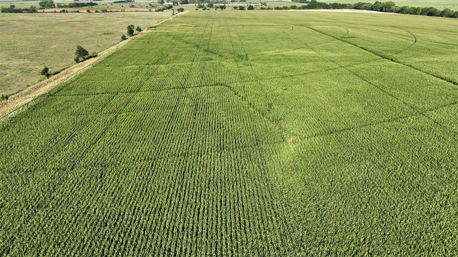 80 +/- Acre Pivot-Irrigated Farm in Polk Co, NE - AgWest Land Brokers