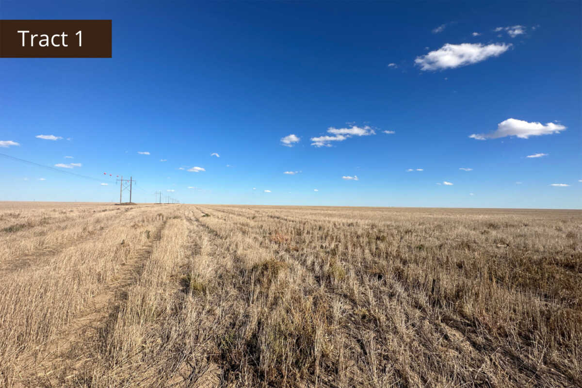 Online Only Land Auction 475.35 +/ Acres in Greeley County, KS