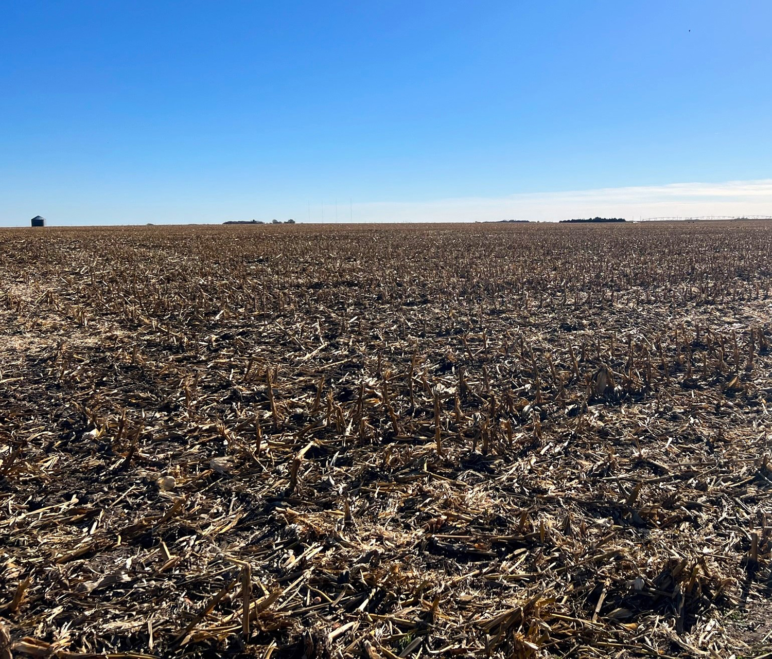 Land Auction 160.779 +/ Acre Pivot Irrigated Farm in Phelps County