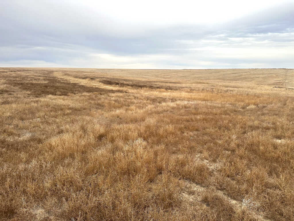 160 +/ Acre CRP Property in Logan County, Kansas AgWest Land Brokers