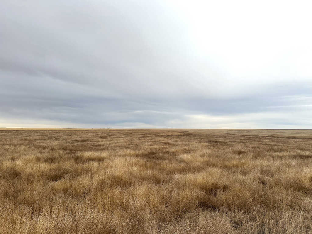 160 +/ Acre CRP Property in Logan County, Kansas AgWest Land Brokers