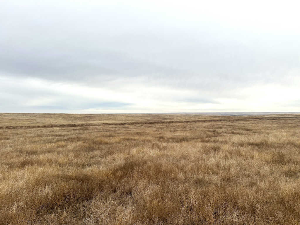 160 +/ Acre CRP Property in Logan County, Kansas AgWest Land Brokers
