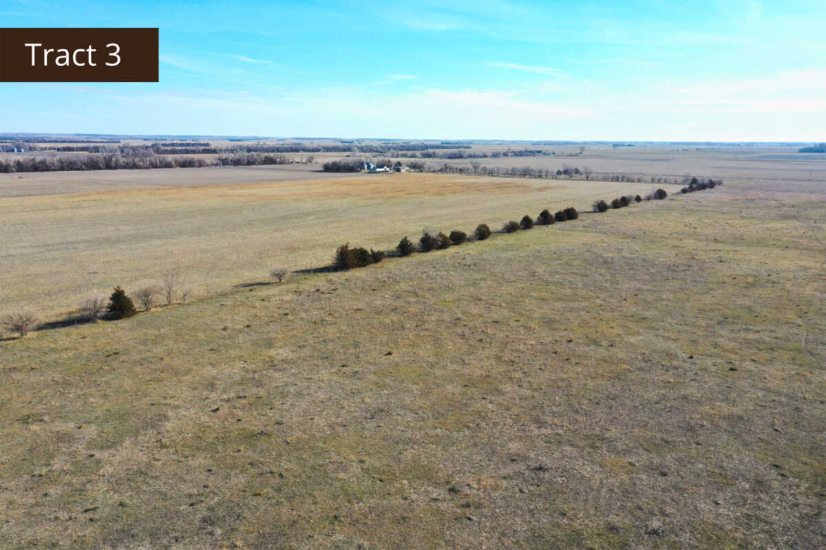 Land Auction 787.27 +/ Acres in Nance County, NE, Offered in 5