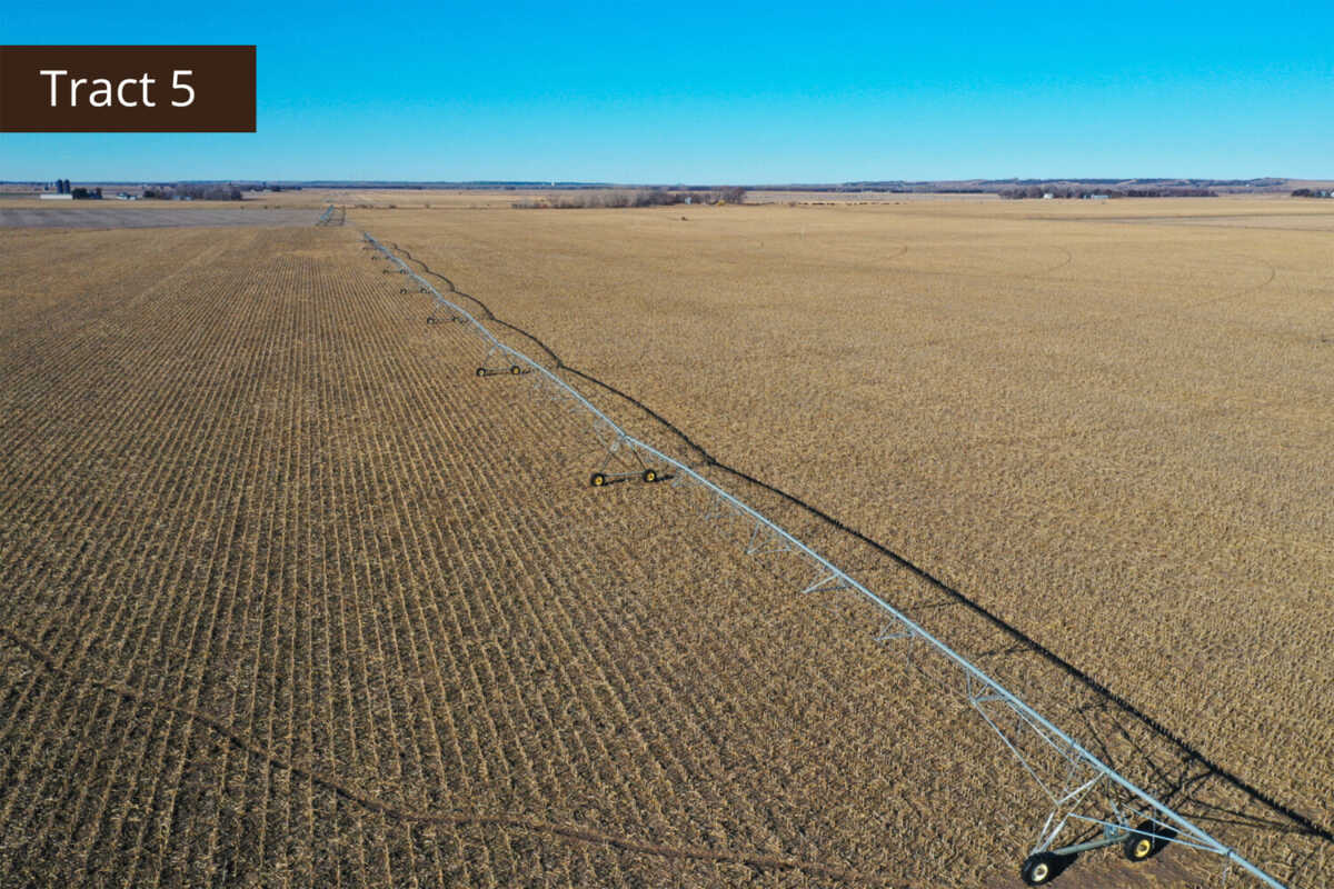 Land Auction 787.27 +/ Acres in Nance County, NE, Offered in 5