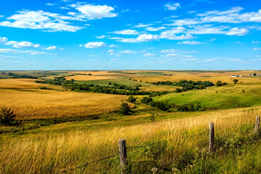 Prime Rooks County Land for Sale